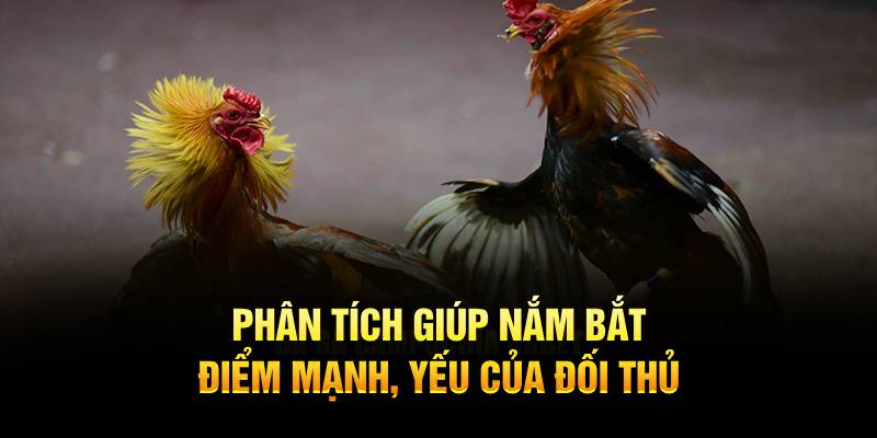 Phân tích giúp nắm bắt điểm mạnh, yếu của đối thủ 